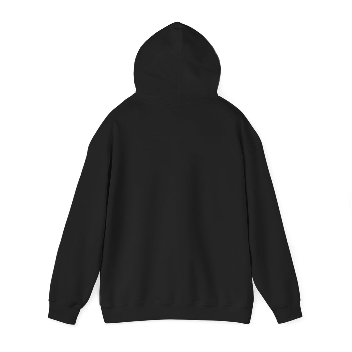 Women's Dream Big Hooded Sweatshirt