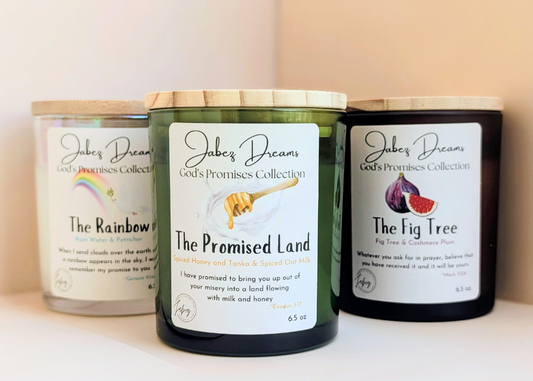 God's Promises Collection Trio Bundle